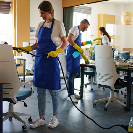 Integrated multiservices